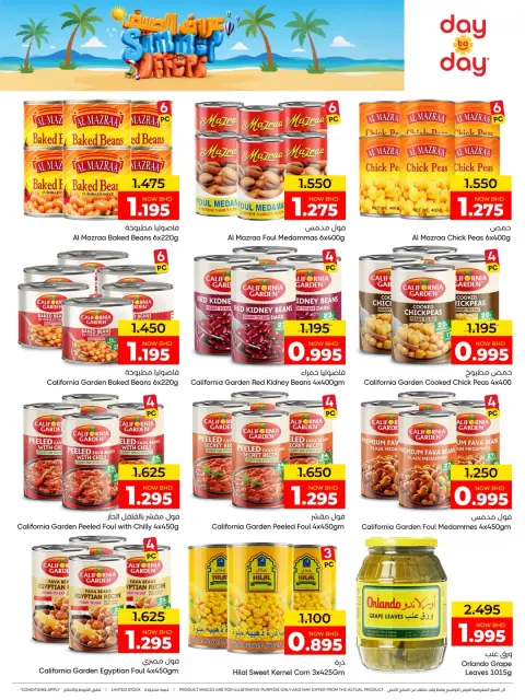 Day To Day Discount Center Bahrain offers from 14 to 26 June 2026 Summer Deals - Page 5