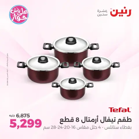 Raneen offers in Sheikh Zayed from 14 to 17 June 2026 Promotions and Discounts - Page 11