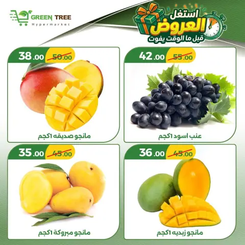 عروض جرين ترى مصر من ١٨ حتى ٢١ يونيو ٢٠٢٦ استغل العروض قبل ما الوقت يفوت - صفحة 3