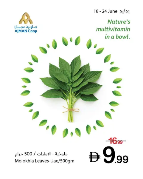 Ajman Coop offers from 18 to 24 June 2026 Fresh Deals - Page 4