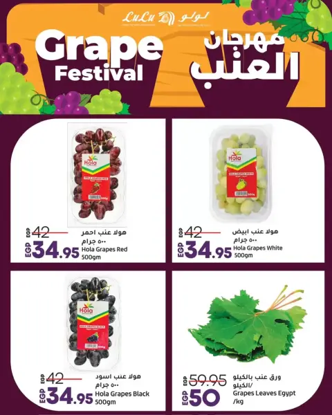 Lulu Egypt offers from 25 to 28 June 2026 Queen of the Blueberry Festival - Page 3