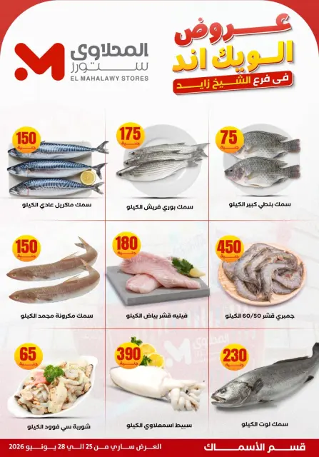 عروض المحلاوى ستورز بفرع الشيخ زايد من ٢٥ حتى ٢٨ يونيو ٢٠٢٦ عروض الويك إند - صفحة 3