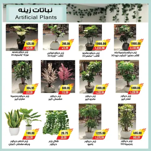 A market Egypt offers from 26 June to 3 July 2026 Summer Offers - Page 8