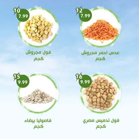 عروض النهضة المصرية بفرع العين من ٣ حتى ١٦ يوليو ٢٠٢٦ العرض الأسبوعي - صفحة 12