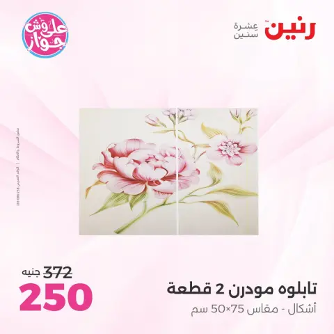 عروض رنين من ١٤ حتى ١٥ يوليو ٢٠٢٦ عروض هدايا وديكورات - صفحة 6