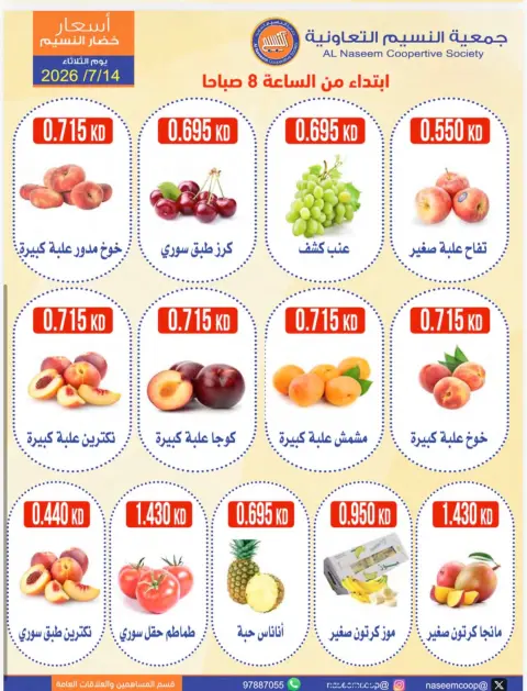 عروض جمعية النسيم التعاونية الثلاثاء ١٤ يوليو ٢٠٢٦ مهرجان الخضار والفواكه - صفحة 2