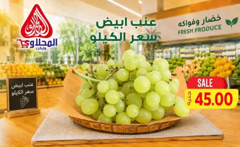 عروض المحلاوى ماركت من ٢٢ حتى ٢٤ يوليو ٢٠٢٦ عروض نهاية الأسبوع - صفحة 10