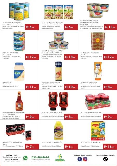 Istanbul supermarket UAE offers from 23 to 29 July 2026 Great savings - Page 9