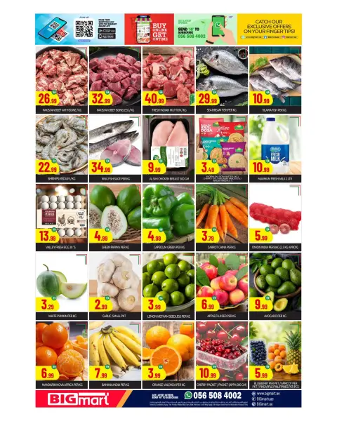 BIGmart offers in Ras Al Khor from 23 to 26 July 2026 Big Value Deals - Page 8