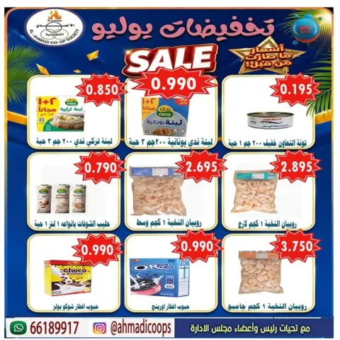 عروض جمعية الأحمدى التعاونية من ٢٥ حتى ٣١ يوليو ٢٠٢٦ عروض الصيف - صفحة 11