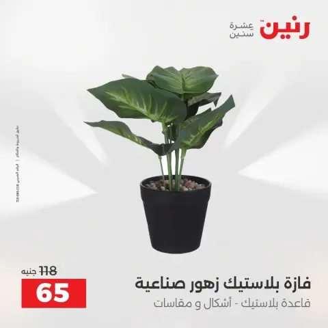 عروض رنين من ٢ حتى ٣ أغسطس ٢٠٢٦ عروض هدايا وديكورات - صفحة 59