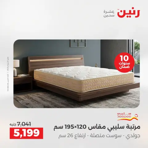 Ofertas de Raneen de 13 a 15 agosto 2026 Descuentos Premium - Página 4
