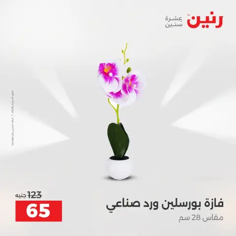 عروض رنين من ١٦ حتى ١٧ أغسطس ٢٠٢٦ عروض هدايا وديكورات - صفحة 69