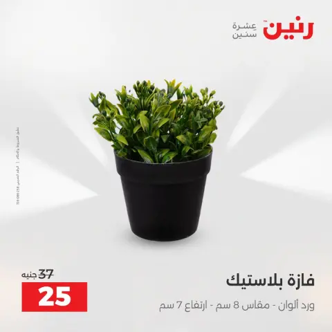 عروض رنين من ١٦ حتى ١٧ أغسطس ٢٠٢٦ عروض هدايا وديكورات - صفحة 60