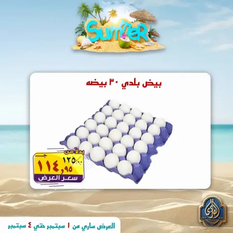 عروض الصردى جملة ماركت من ١ حتى ٤ سبتمبر ٢٠٢٦ عروض الصيف - صفحة 17