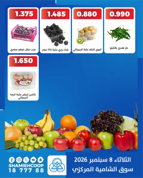 Shamieh coop offers Tuesday 8 September 2026 Vegetable and fruit offers - Page 4