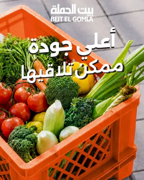 Ofertas de Casa Gomla de 7 a 9 septiembre 2026 Ofertas de Comida Fresca - Página 1
