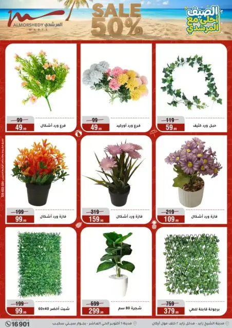 Ofertas de Al Morshedy de 8 a 15 septiembre 2026 Ofertas de verano - Página 62