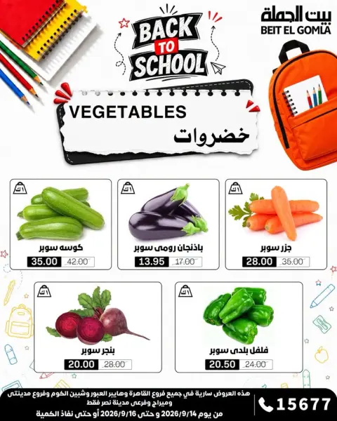 عروض بيت الجملة من ١٤ حتى ١٦ سبتمبر ٢٠٢٦ عروض الفريش فود - صفحة 13