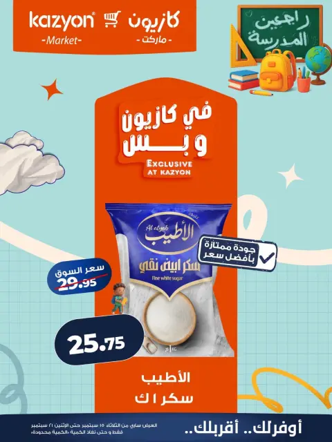 عروض كازيون ماركت مصر من ١٥ حتى ٢١ سبتمبر ٢٠٢٦ عرض التلات - صفحة 13