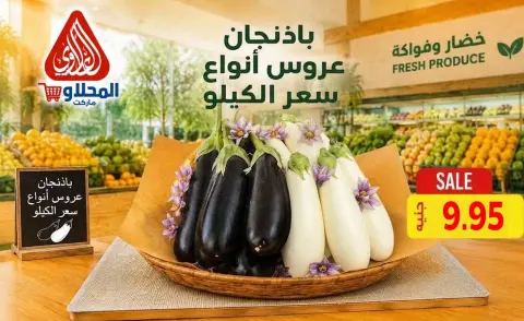 عروض المحلاوى ماركت من ١٦ حتى ١٩ سبتمبر ٢٠٢٦ عروض الخضار والفواكه - صفحة 10