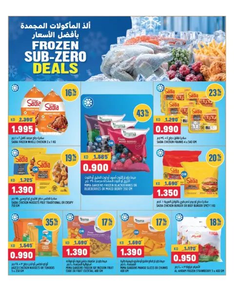 Oncost Express Kuwait offers from 21 to 23 September 2026 Frozen Sub Zero Deals - Page 3