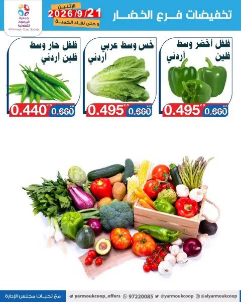 Yarmouk co-op offers Monday 21 September 2026 Vegetable and fruit discounts - Page 3