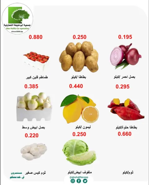 عروض جمعية أبو حليفة التعاونية من ٢١ حتى ٢٢ سبتمبر ٢٠٢٦ عروض الخضار والفواكه - صفحة 3