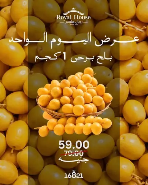 عروض رويال هاوس مصر الثلاثاء ٢٢ سبتمبر ٢٠٢٦ عرض اليوم الواحد - صفحة 1