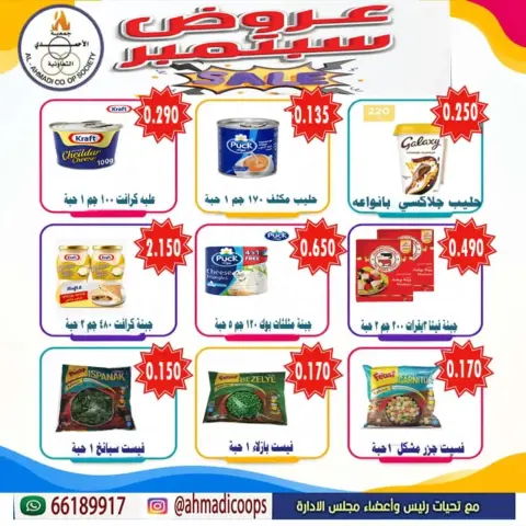 Ahmadi coop offers from 24 September to 3 October 2026 September Sale - Page 29