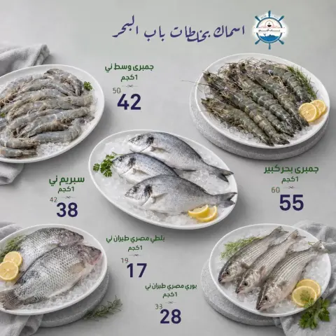 عروض النهضة المصرية بفرع أبوظبي من ٢٥ سبتمبر حتى ١ أكتوبر ٢٠٢٦ العروض الأسبوعية - صفحة 8