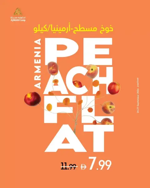 عروض تعاونية عجمان من ٢٤ حتى ٣٠ سبتمبر ٢٠٢٦ صفقات طازجة - صفحة 3