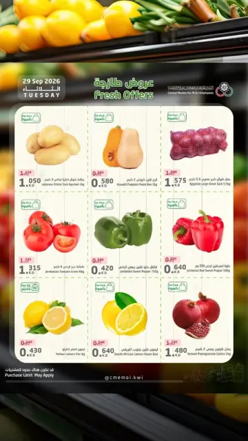 عروض السوق المركزى للعاملين بوزارة الداخلية الكويت الثلاثاء ٢٩ سبتمبر ٢٠٢٦ عروض طازجة - صفحة 3