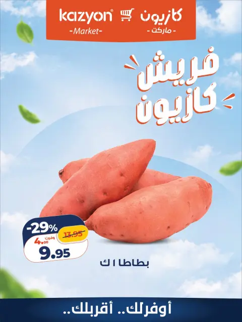 عروض كازيون ماركت مصر من ٢٨ حتى ٢٩ سبتمبر ٢٠٢٦ عروض فريش - صفحة 9