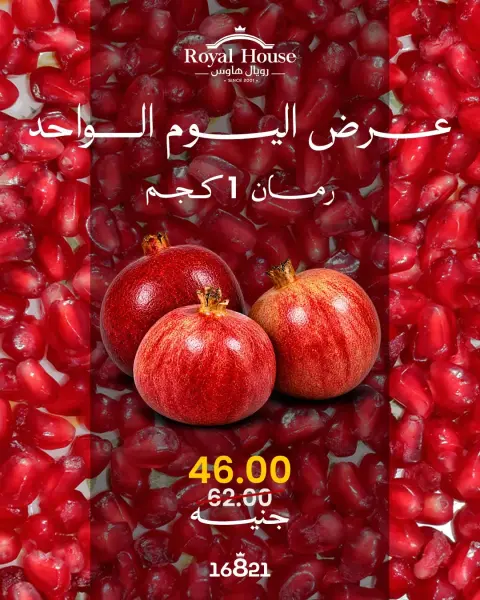 عروض رويال هاوس مصر الثلاثاء ٢٩ سبتمبر ٢٠٢٦ عرض اليوم الواحد - صفحة 2