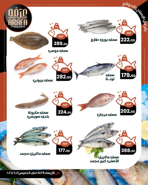 عروض عرفة ماركت بفرع الفيوم من ٣٠ سبتمبر حتى ١ أكتوبر ٢٠٢٦ عروض حلقة السمك - صفحة 6