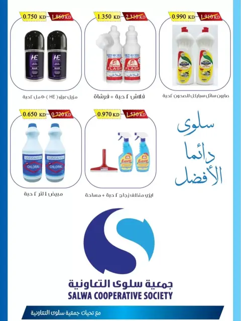 عروض جمعية سلوى التعاونية من ٢ حتى ١٠ أكتوبر ٢٠٢٦ مهرجان الفروع - صفحة 14