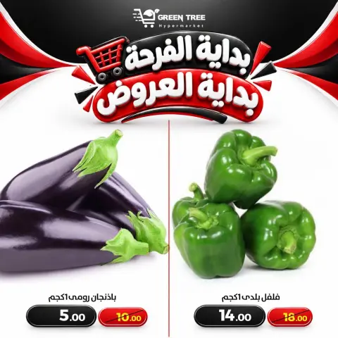 عروض جرين ترى بفرع سوهاج من ٨ حتى ١١ أكتوبر ٢٠٢٦ عروض نهاية الأسبوع - صفحة 3