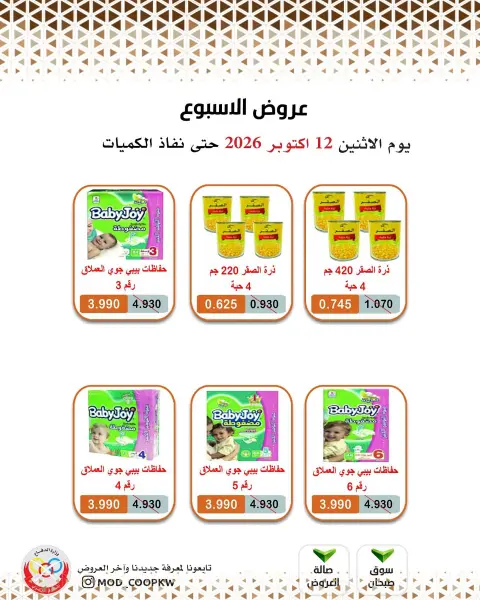 عروض جمعية وزارة الدفاع الإستهلاكية من ١٢ حتى ١٨ أكتوبر ٢٠٢٦ عروض الأسبوع - صفحة 5