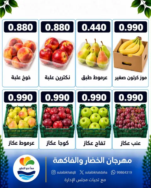 Ofertas de cooperativa Sulaibikhat Al-Doha lunes 12 octubre 2026 Festival de hortalizas y frutas - Página 4