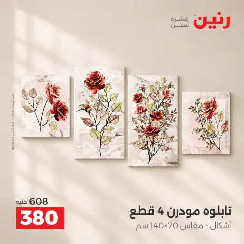 عروض رنين من ١٥ حتى ١٧ أكتوبر ٢٠٢٦ عروض هدايا وديكورات - صفحة 13
