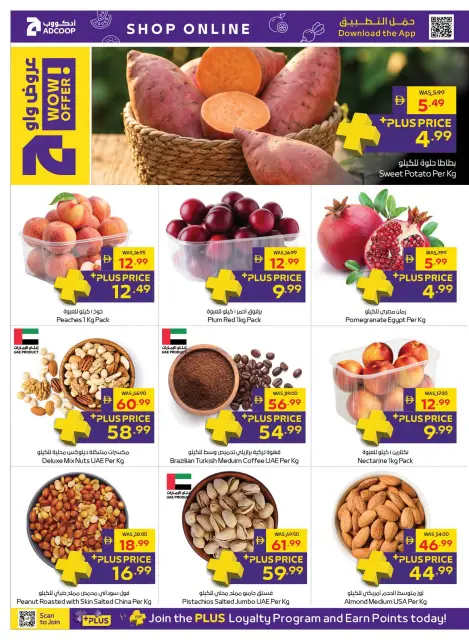 Offres Coopérative d'Abou Dhabi ADCOOP de 19 à 28 octobre 2026 Allons camper - Page 30