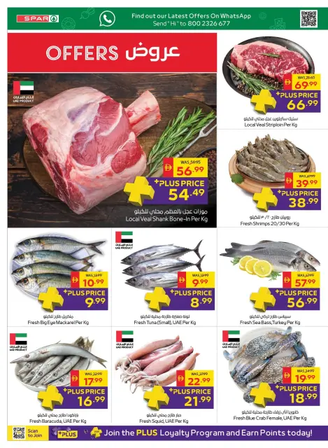 SPAR UAE offers from 19 to 28 October 2026 Let's go camping - Page 6