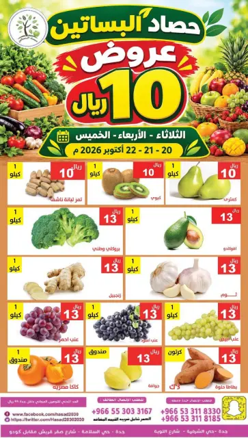 عروض حصاد البساتين السعودية من ٨ حتى ١٠ جمادى الأولى ١٤٤٨ هـ (٢٠ إلى ٢٢ أكتوبر ٢٠٢٦) فقط 10 ريال - صفحة 4