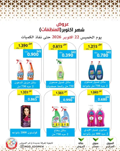 Mod co-op offers from 22 to 28 October 2026 October Deals - Page 8