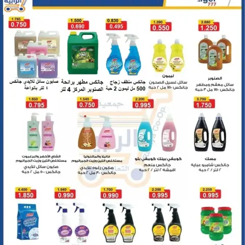 Rabiya co-op offers from 22 to 31 October 2026 October Sale - Page 44