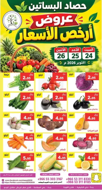 Offres Hasad Albasatin Arabie Saoudite de 12 à 14 Jumada I 1448 AH (24 au 26 octobre 2026) Prix ​​bas - Page 4