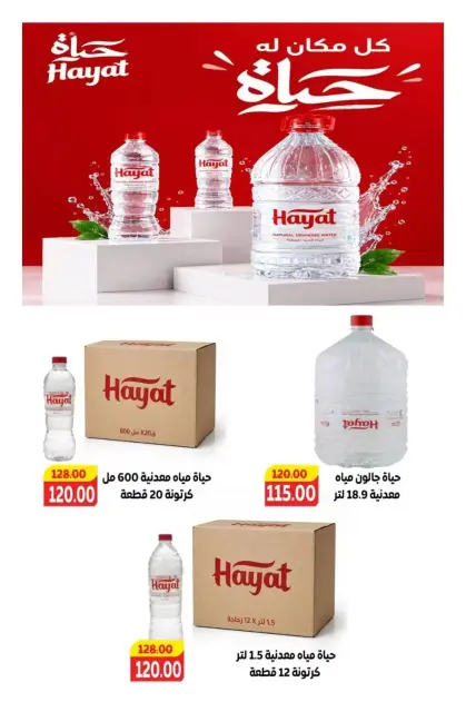Safeer supermarket Egypt offers from 25 October to 5 November 2026 Smashing prices - Page 13