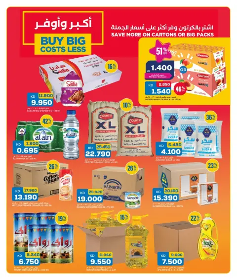 Oncost Kuwait offers from 29 to 31 October 2026 Laundry & Cleaning Essentials - Page 12