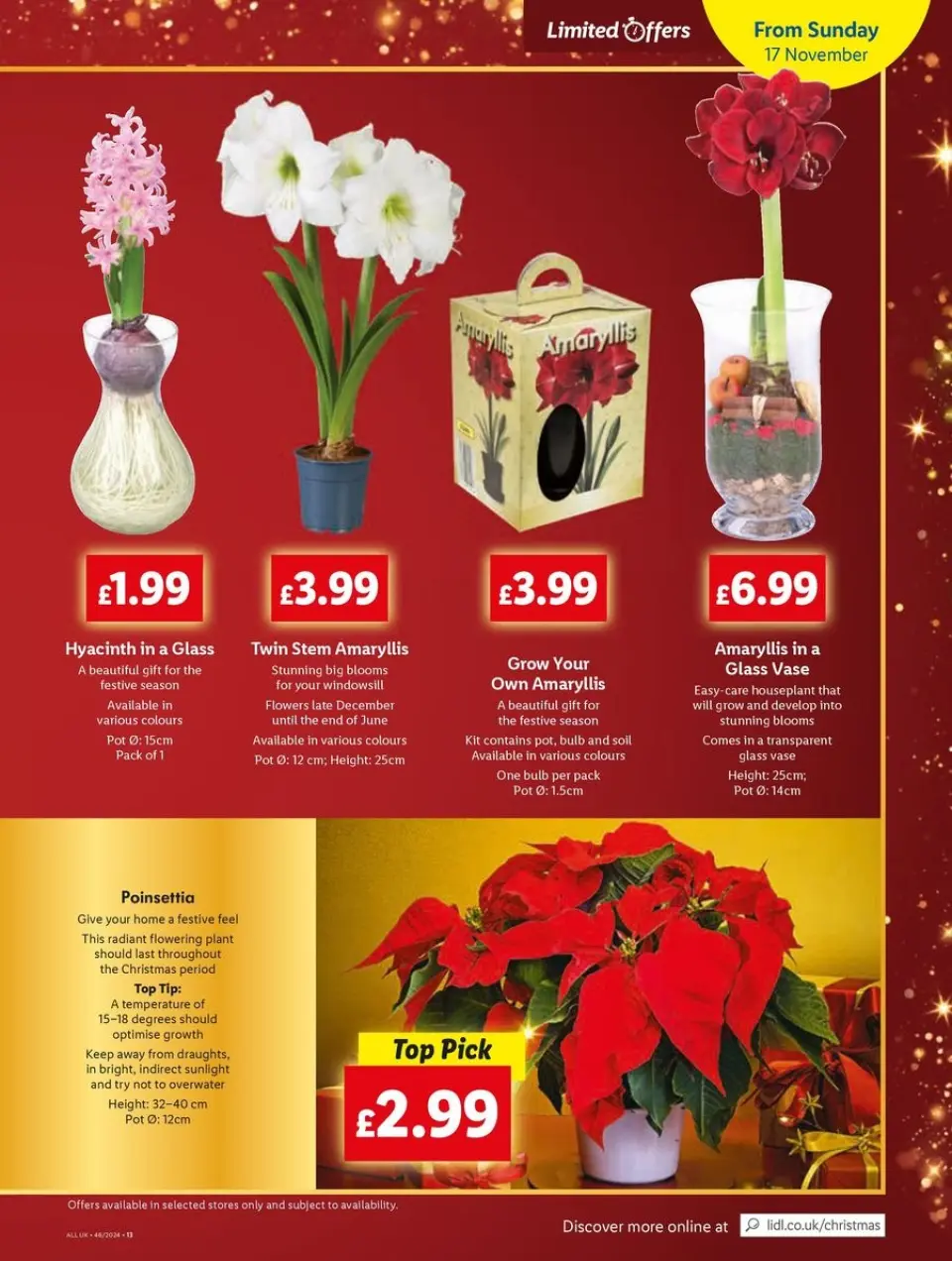 Ofertas de Lidl Reino Unido de 14 a 20 noviembre 2024 ofertas semanales - Página 11